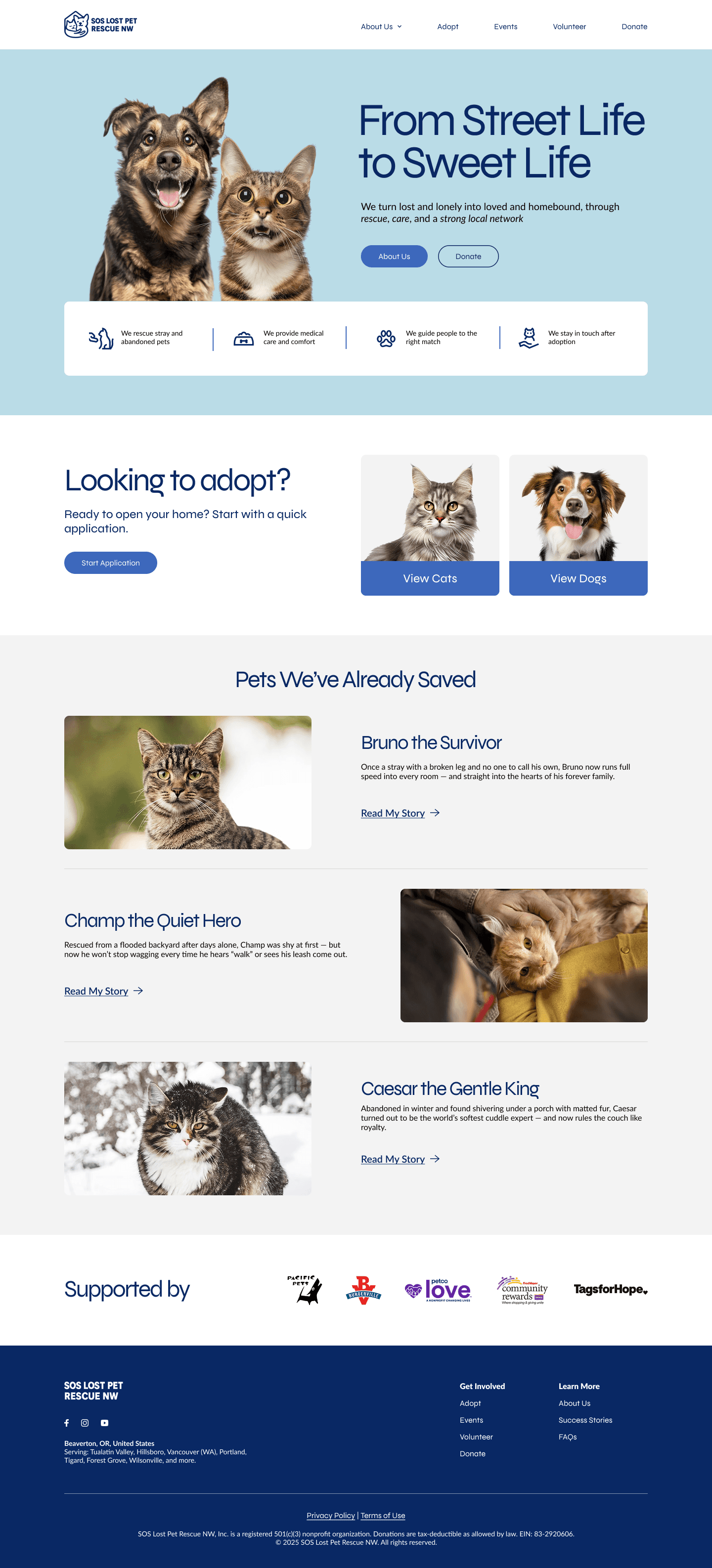 Final homepage mockup — From Street Life to Sweet Life hero, Available Pets carousel, Pets We've Already Saved success stories.