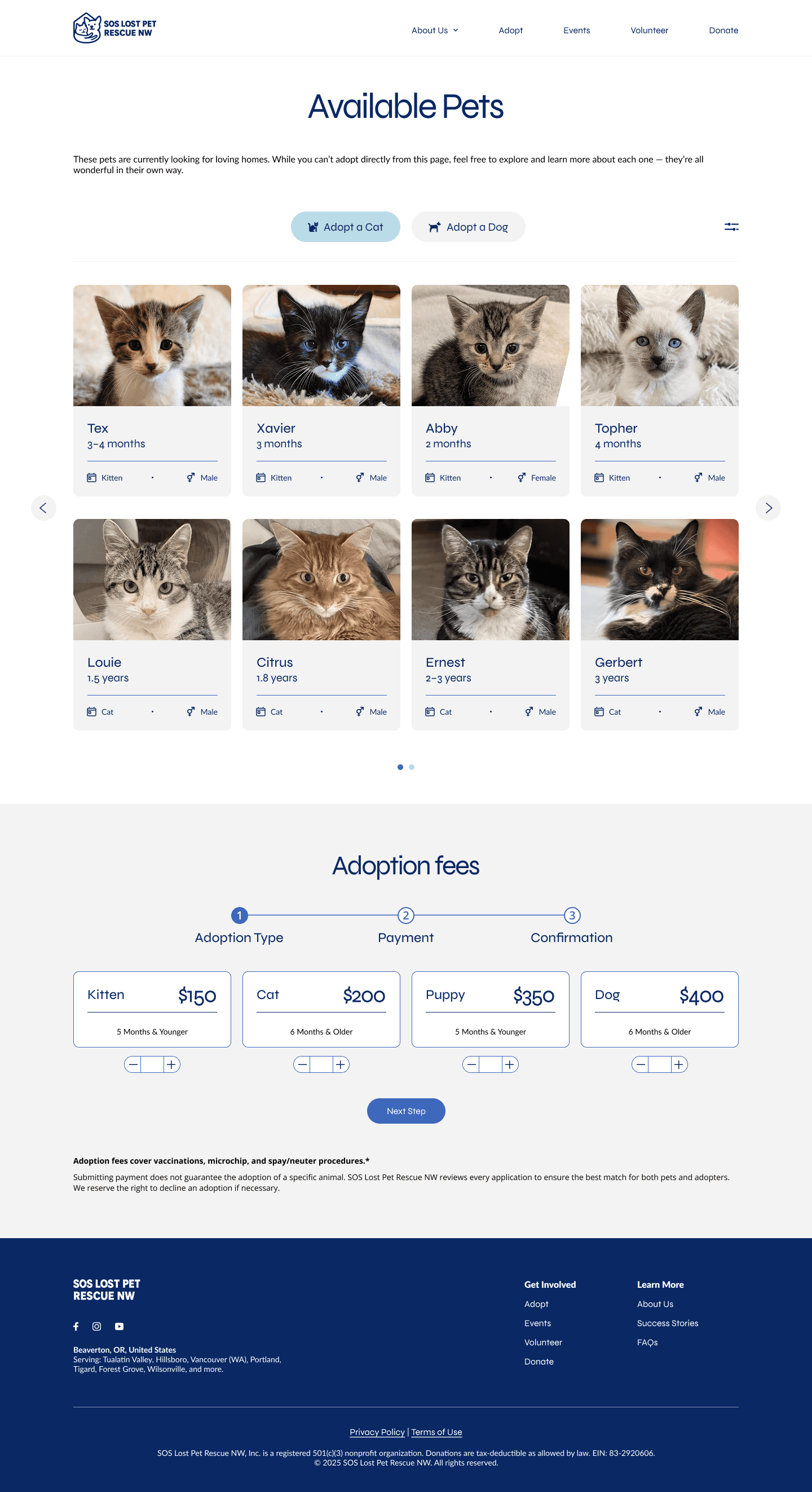 Final mockup — Donate page with tiered impact descriptions.