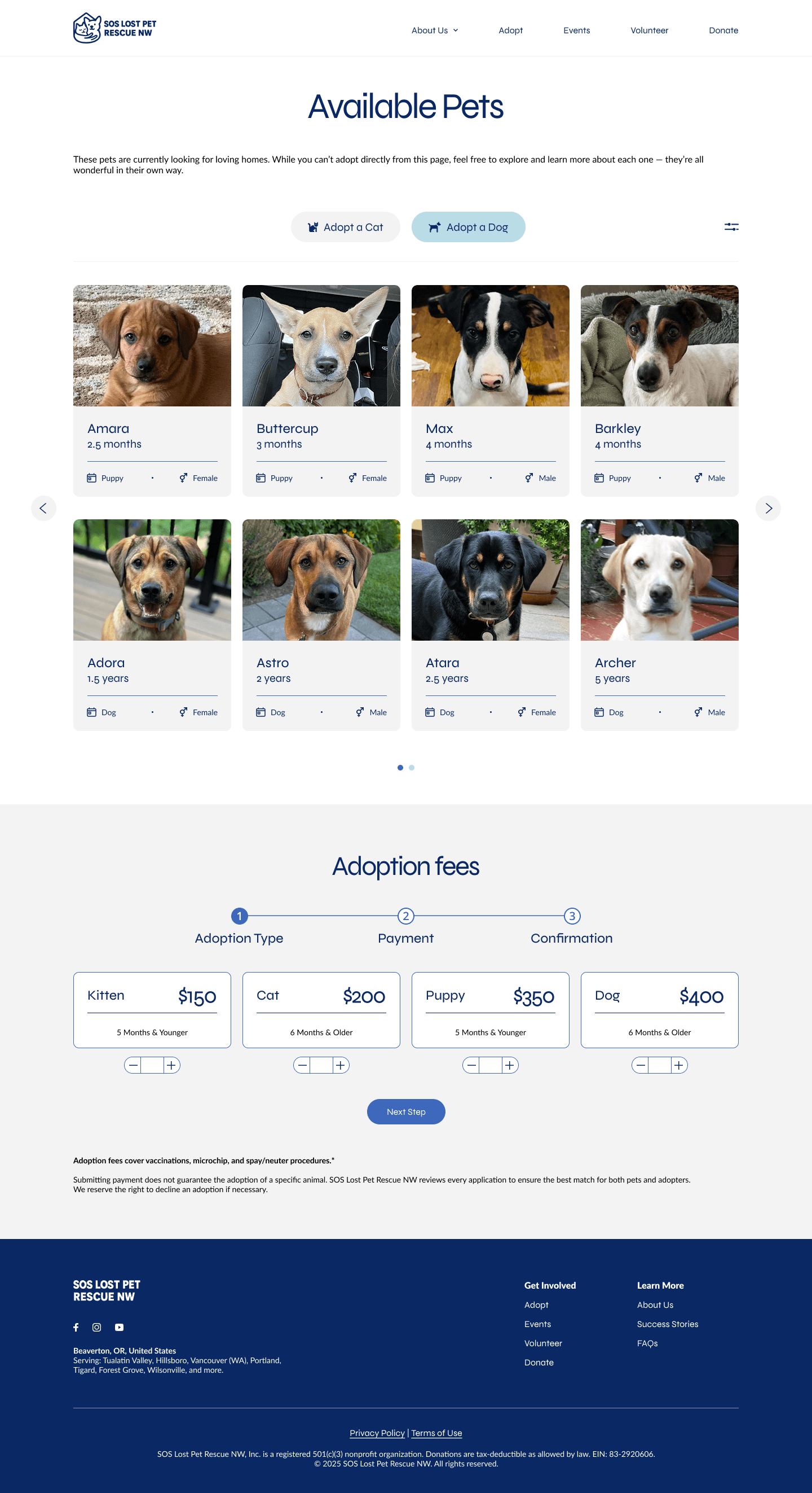Final mockup — Volunteer page with role descriptions and scheduling.