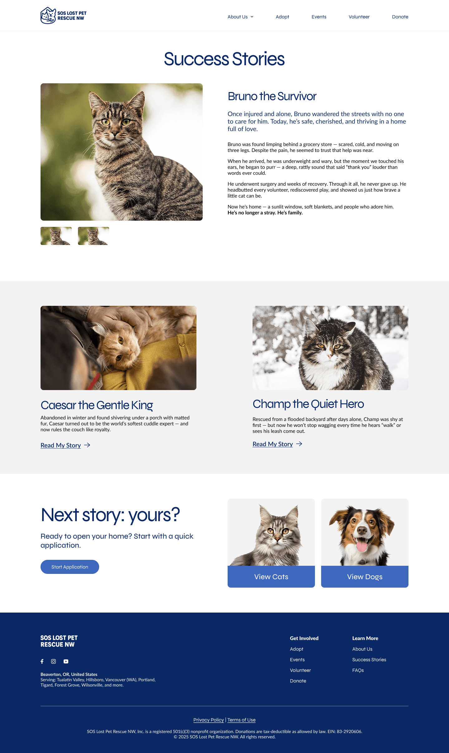 Final mockup — animal profile / success story detail page.